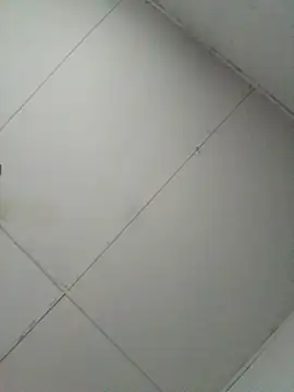 losangelesaid online show from December 4, 12:47 pm