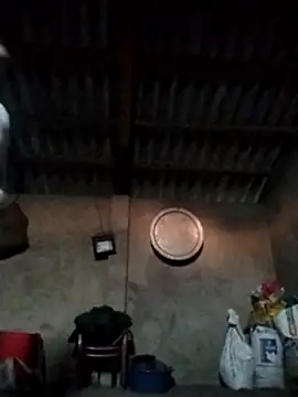 LeoPet2x online show from December 15, 9:46 am