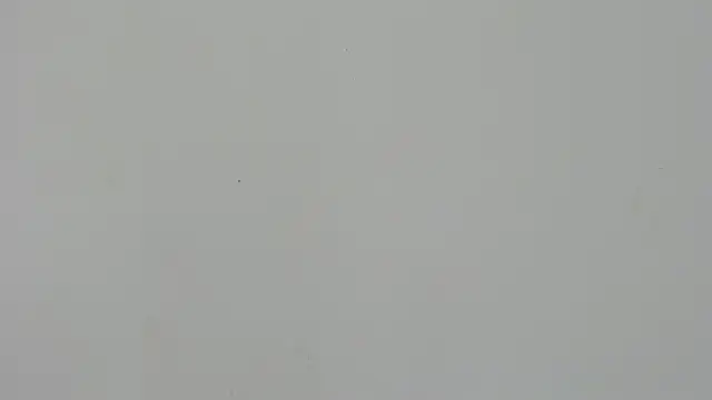 Ladymadinght online show from February 4, 2:01 pm