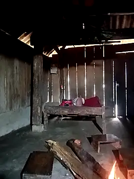 ava-dellght online show from January 7, 2:14 am