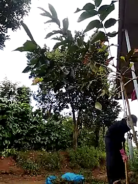 Snapshot of Metting88 chatting on December 15, 1:21 am Metting88 online show from December 15, 1:21 am