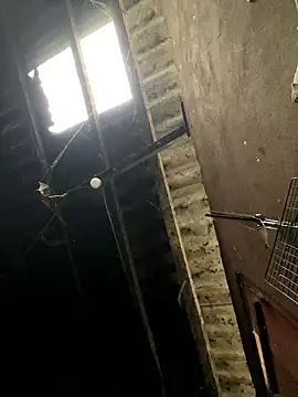 Nika-be online show from January 17, 1:54 am