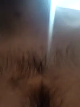 Snapshot of bnglrboy0886 chatting on February 7, 12:14 am bnglrboy0886 online show from February 7, 12:14 am