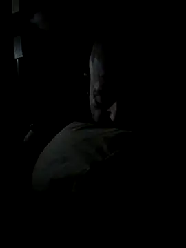 Snapshot of K9handler1 chatting on December 16, 11:32 pm K9handler1 online show from December 16, 11:32 pm