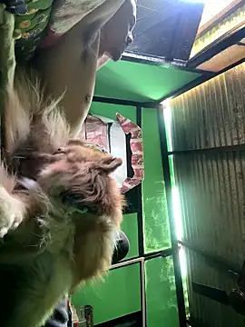 Fixvyusv online show from January 12, 5:12 am