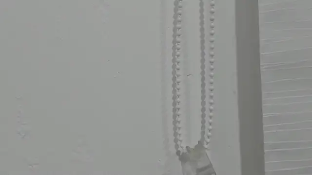 ariloe quintero online show from April 20, 1:03 pm