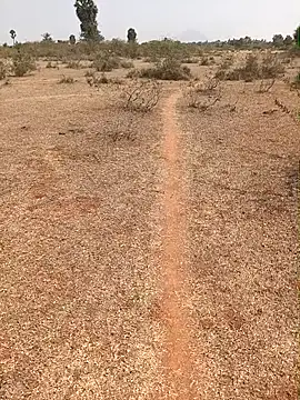 Snapshot of Tamilpaiyan07 chatting on February 9, 7:01 am Tamilpaiyan07 online show from February 9, 7:01 am