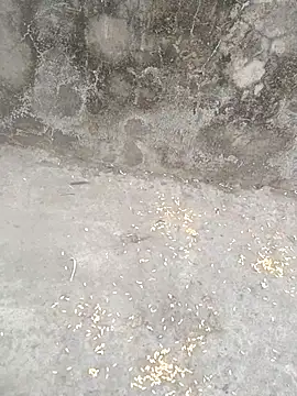 sexyboy 917 online show from March 5, 12:45 pm