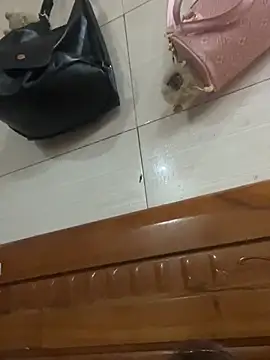 Liness101 online show from February 4, 12:05 am