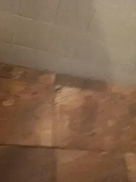 Paperdonny online show from January 6, 9:35 am