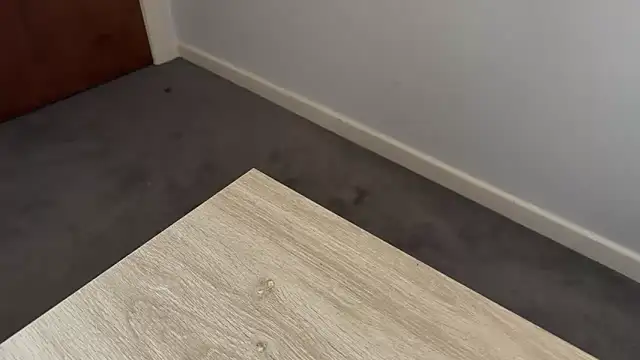 adelaide2026 online show from April 2, 3:37 am