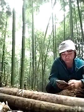 alycen online show from January 15, 8:30 am