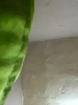 kwandero1234 online show from January 12, 7:41 pm