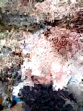 ParejaSutra69 online show from January 8, 10:56 pm