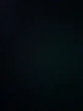 wy2026 online show from March 12, 7:31 pm