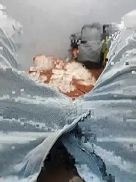 parcelogy online show from January 8, 7:38 pm