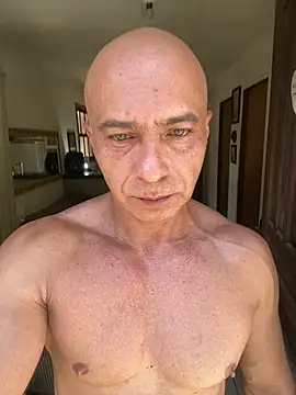 dogfrota online show from February 5, 3:16 pm