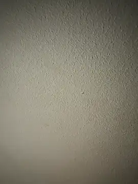 zumma00 online show from January 17, 11:37 am