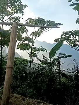 cutebobi online show from March 30, 9:54 am