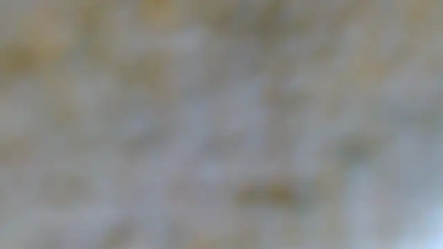 Snapshot of EVAN_TAY chatting on February 7, 7:17 pm EVAN TAY online show from February 7, 7:17 pm