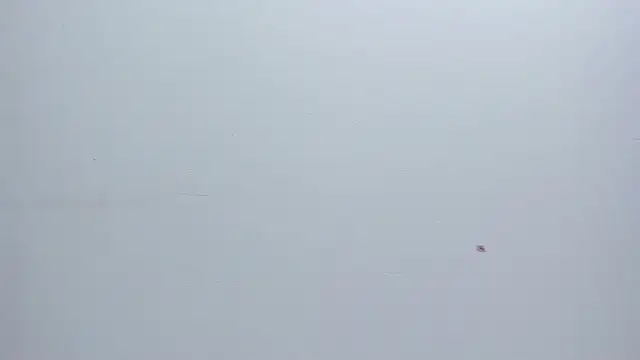 Melanie  Evans online show from March 17, 10:51 am