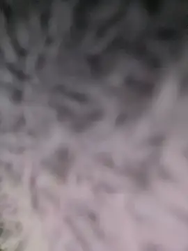 Snapshot of Puka2001 chatting on March 2, 6:14 am Puka2001 online show from March 2, 6:14 am