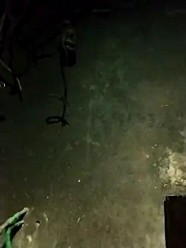 Snapshot of Hoa-tuylip chatting on February 13, 1:29 pm Hoa-tuylip online show from February 13, 1:29 pm