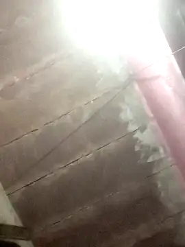 Dipti hote online show from February 10, 2:32 pm