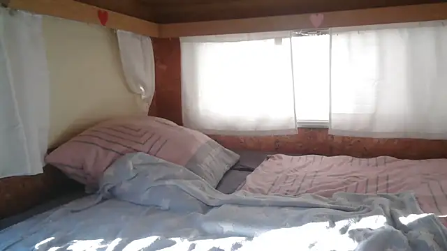 Sylly online show from November 5, 7:41 am