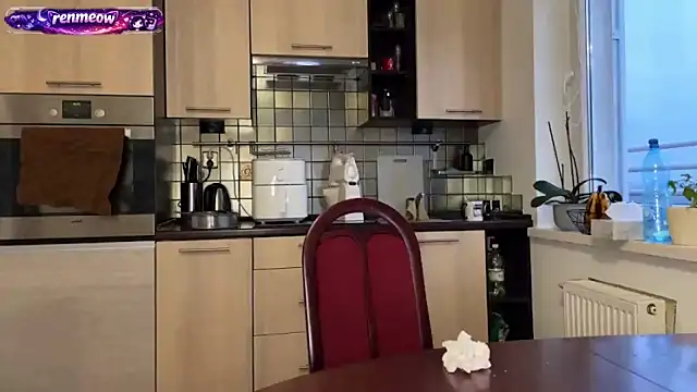 RenMeow online show from February 17, 4:13 pm