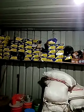 Krishna-10 online show from February 2, 1:54 pm