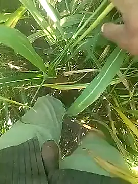 Snapshot of Cute_Boy_4 chatting on February 14, 5:26 am Cute Boy 4 online show from February 14, 5:26 am