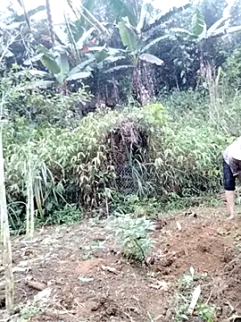 Tina-beo online show from April 18, 8:18 am