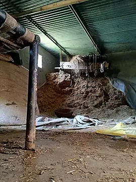 Sharmasamba online show from March 27, 6:41 am