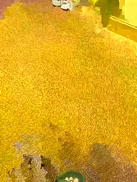 michaarMichaels online show from April 5, 6:54 am