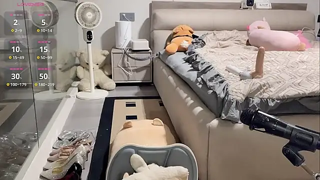 yyds-8 online show from February 12, 3:56 am