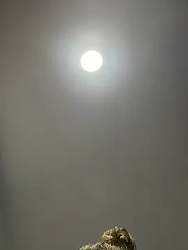 Angelicalove07 online show from March 1, 4:03 am