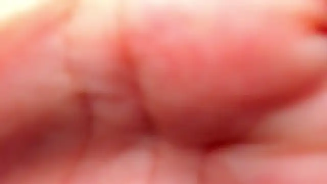 Snapshot of RinaFox__ chatting on February 21, 1:17 am RinaFox online show from February 21, 1:17 am