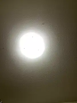 pussyeater - online show from April 16, 4:24 am