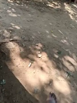 Locky kamani online show from February 16, 8:21 am