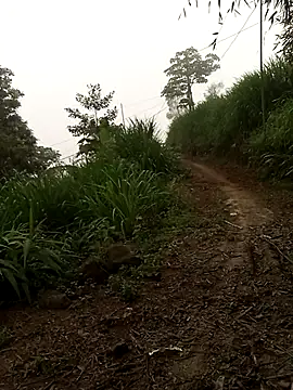 Nth5h online show from April 18, 11:27 pm