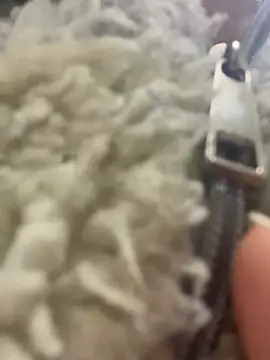 angell cooper8 online show from March 22, 12:19 pm