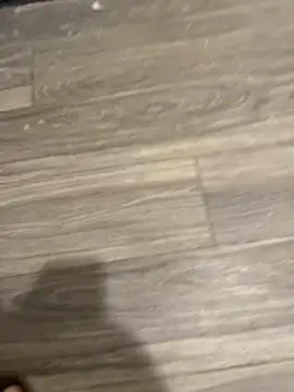 Snapshot of SavorredEscapist chatting on February 26, 6:45 am SavorredEscapist online show from February 26, 6:45 am