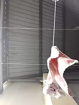 Jinnie sexy online show from March 7, 5:37 am