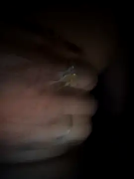 Rashmika Mandana online show from March 18, 6:55 pm