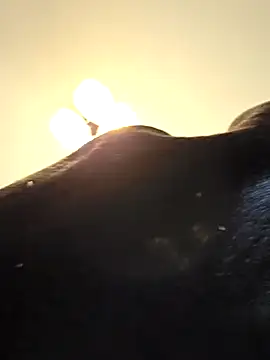 KinkyKittyBoy online show from April 19, 6:10 pm