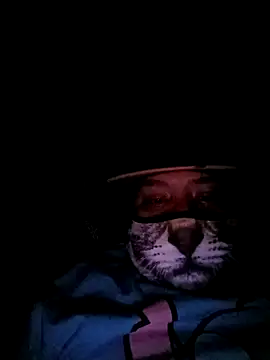 Charlygunslove online show from March 3, 1:34 am