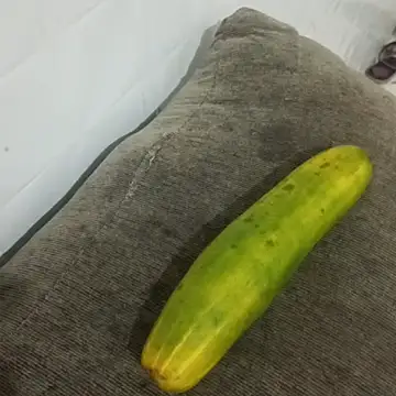 puta casada online show from March 7, 3:03 am