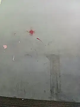 School teacher12 online show from April 15, 3:41 pm