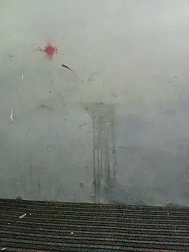 School teacher12 online show from April 19, 3:55 pm